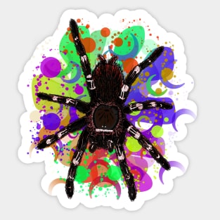 Tarantula Paint Splatter 5 Sticker